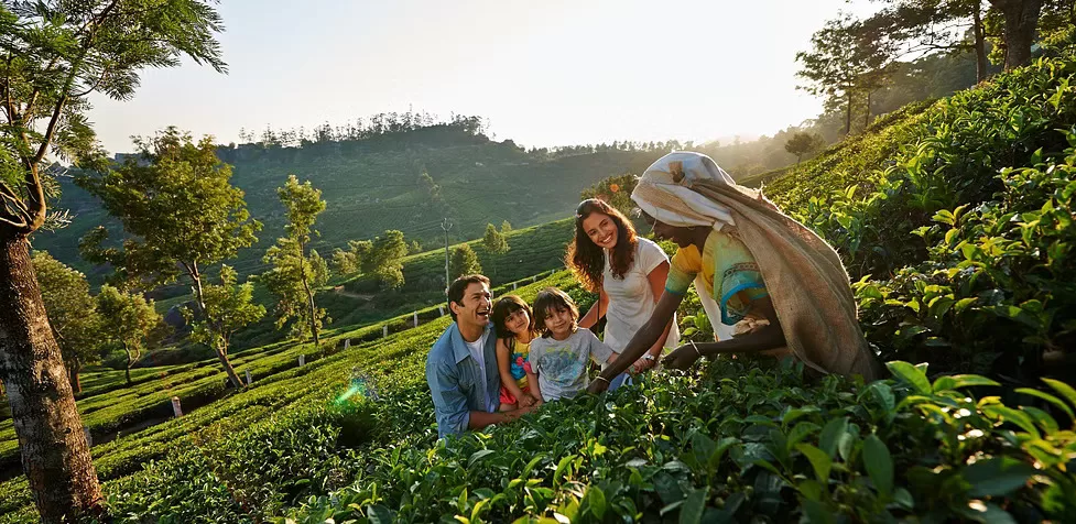 Munnar Tour Package