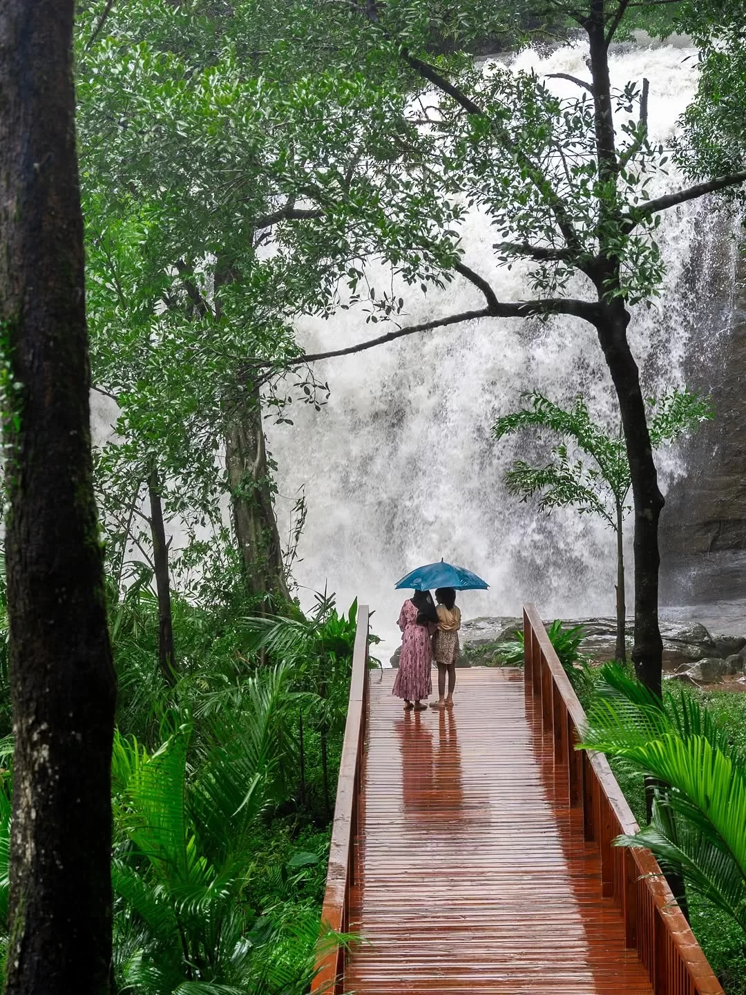 Kerala Monsoon Tour Packages gallery 3
