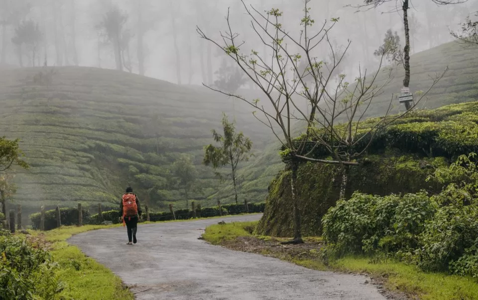 Wayanad Ooty Tour Package