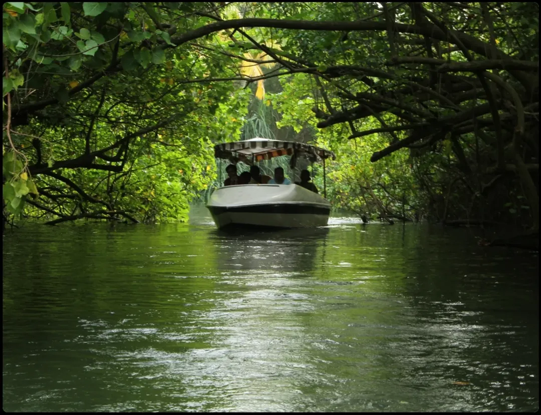 Poovar