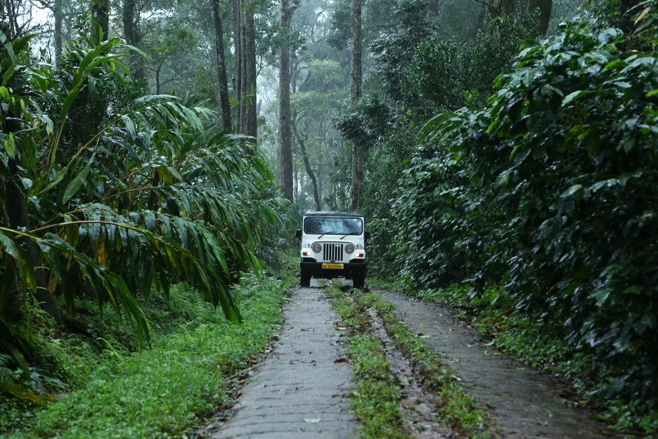 Munnar Thekkady Vagamon Tour Package