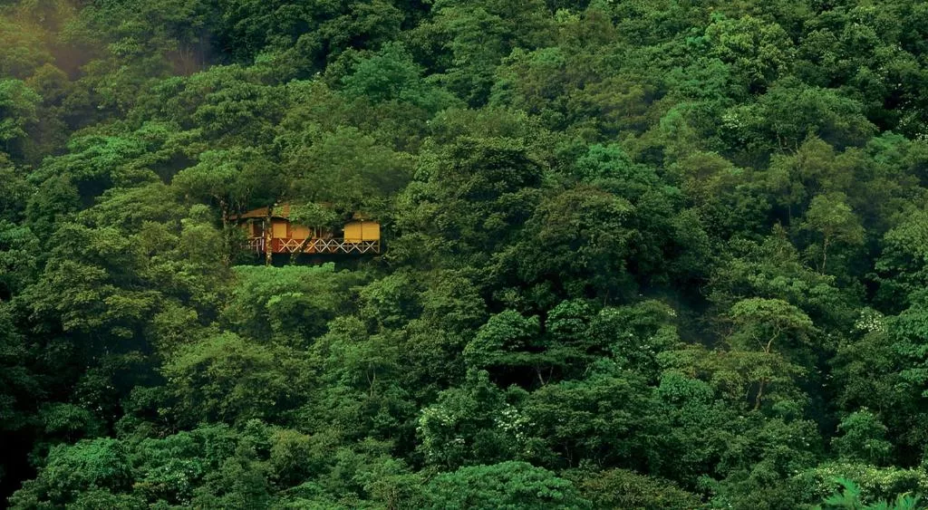 Wayanad