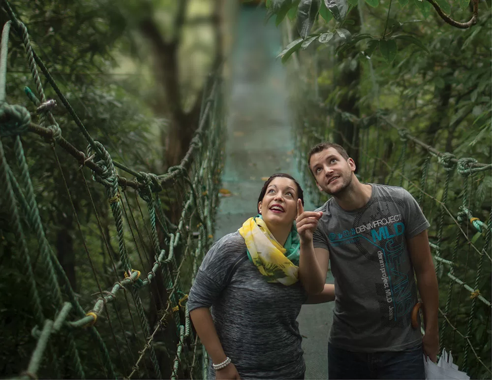 Wayanad Honeymoon Package