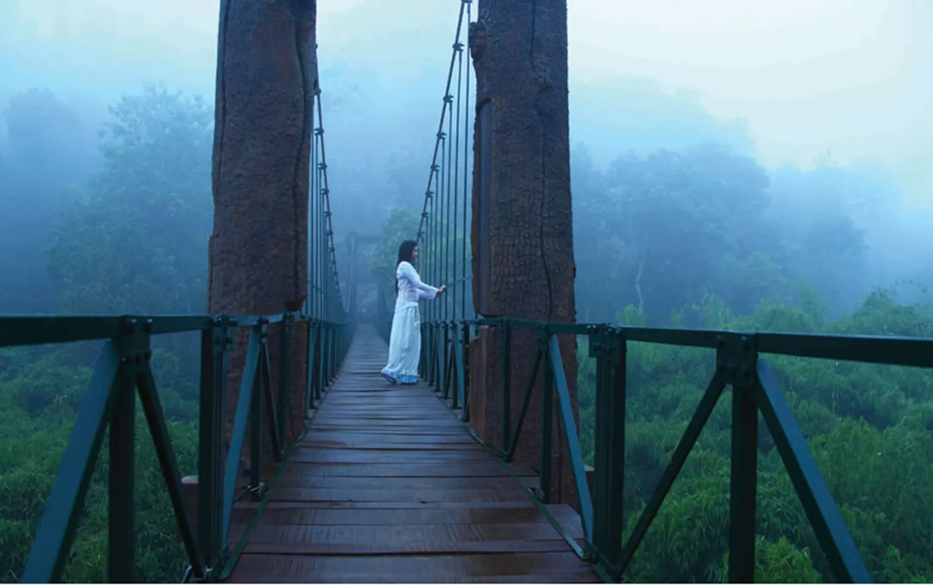 Calicut Wayanad Tour Package 4 Days