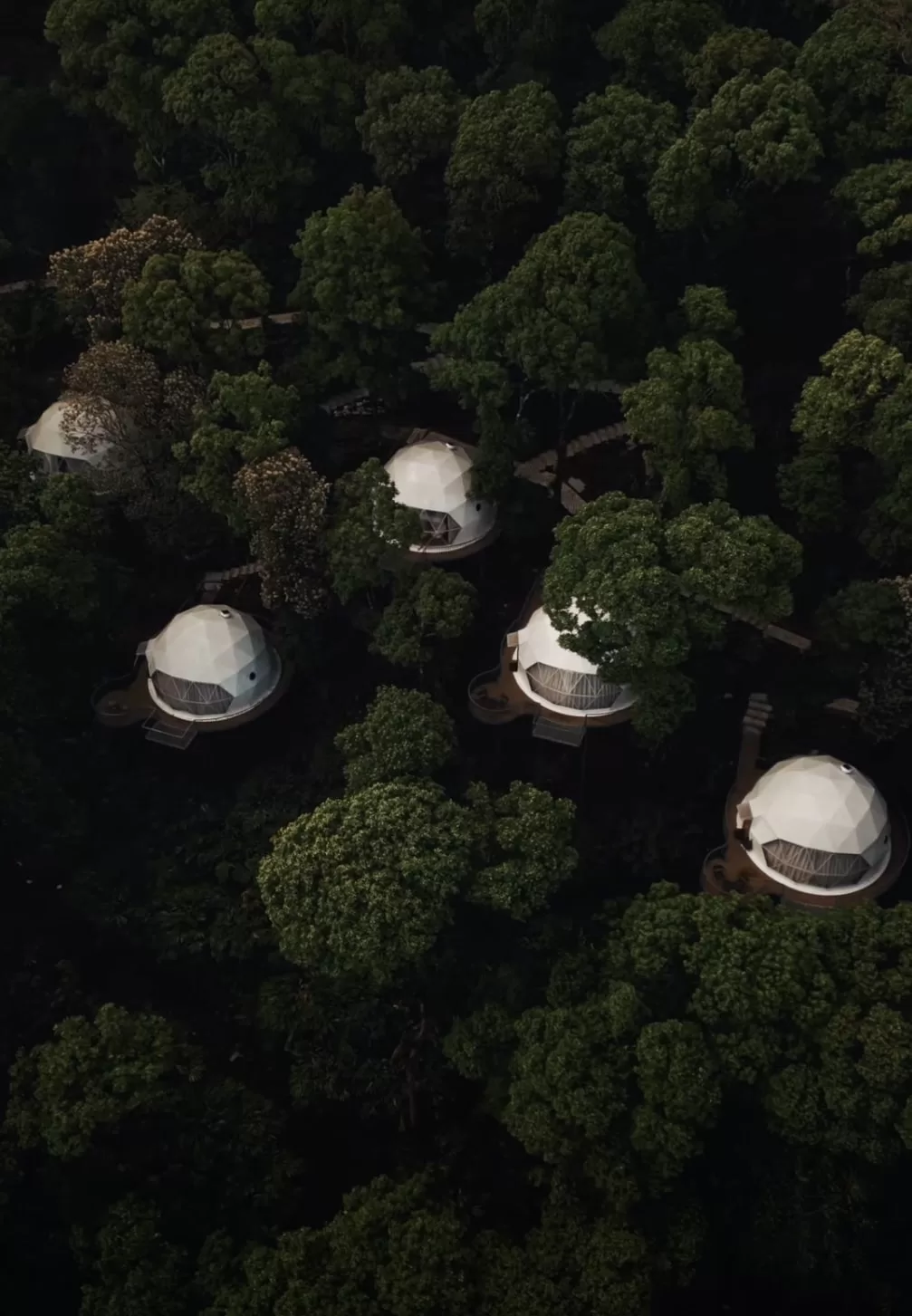 Kerala Dome Stay Package