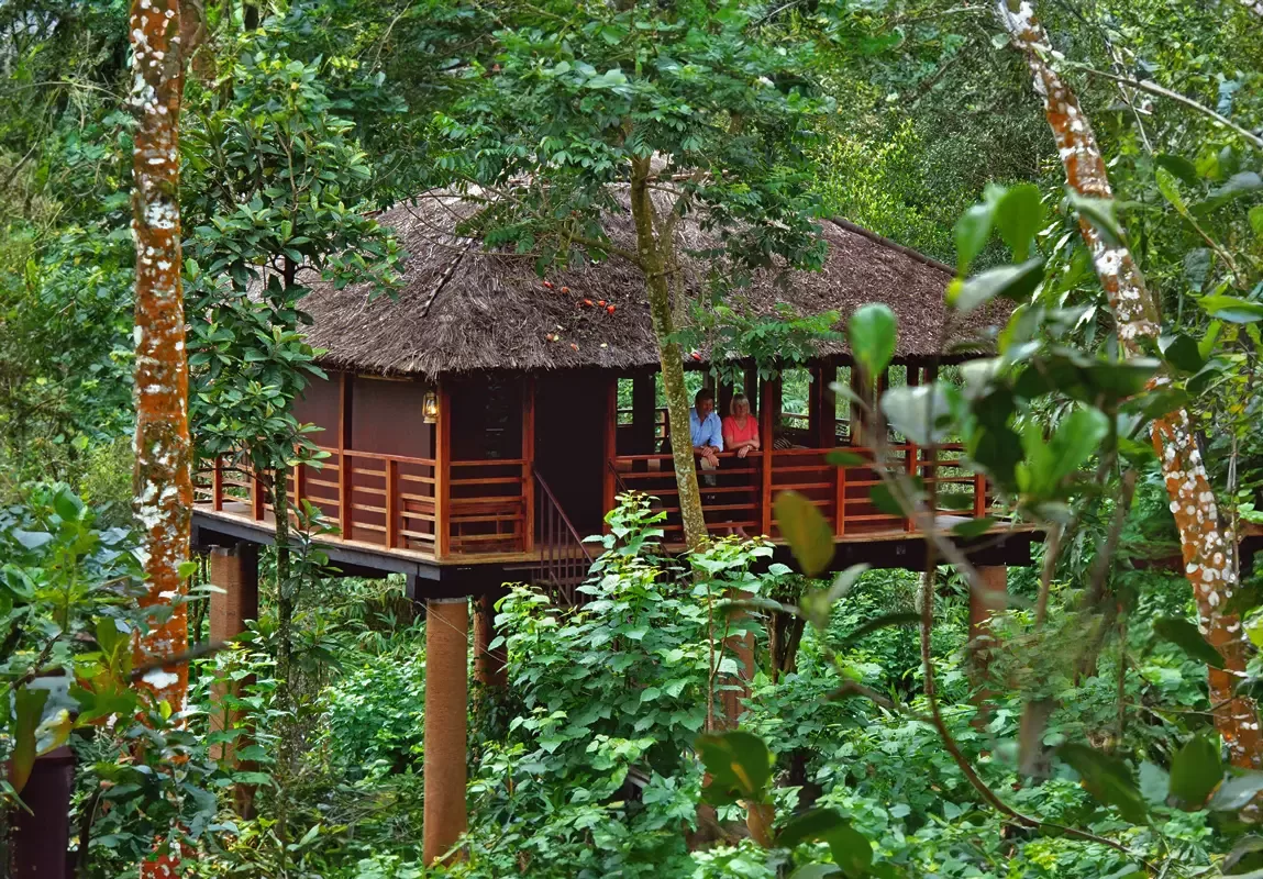 Munnar Tree House Honeymoon Package