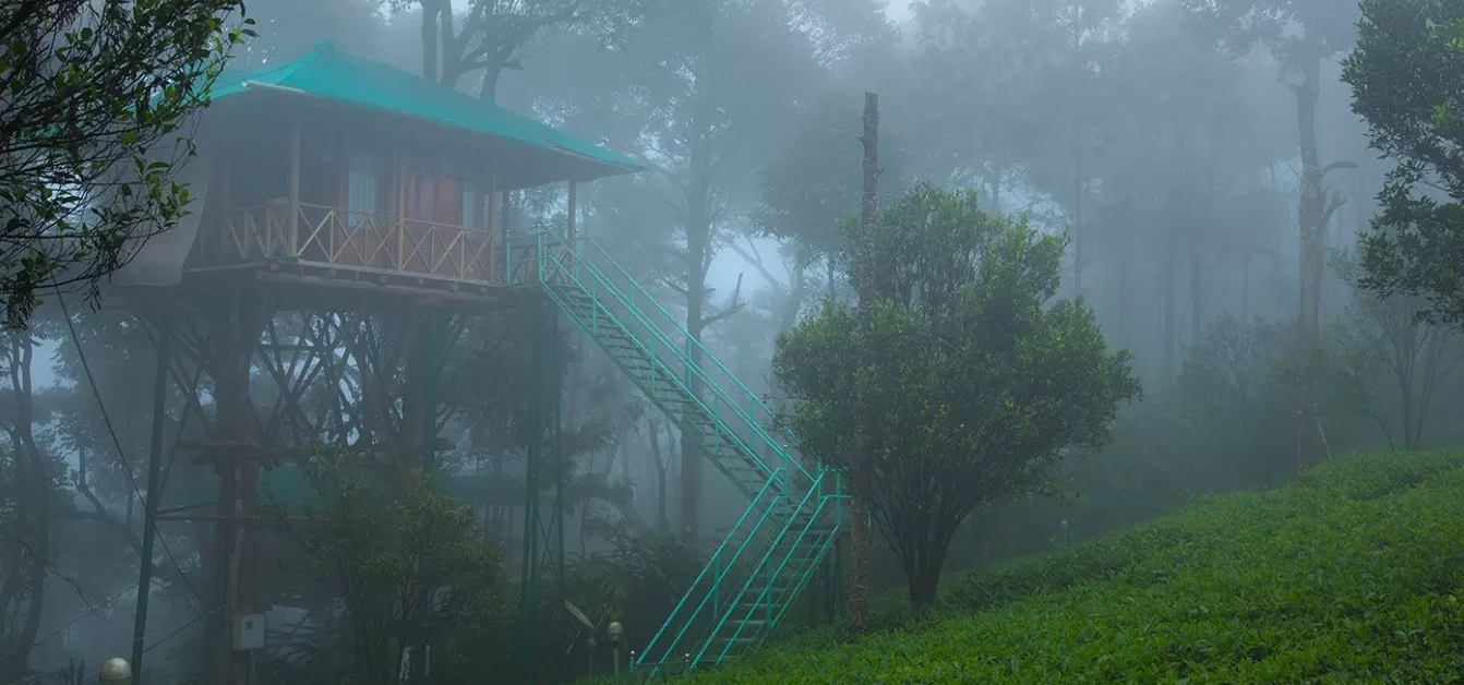 Kerala Tree House Honeymoon Package