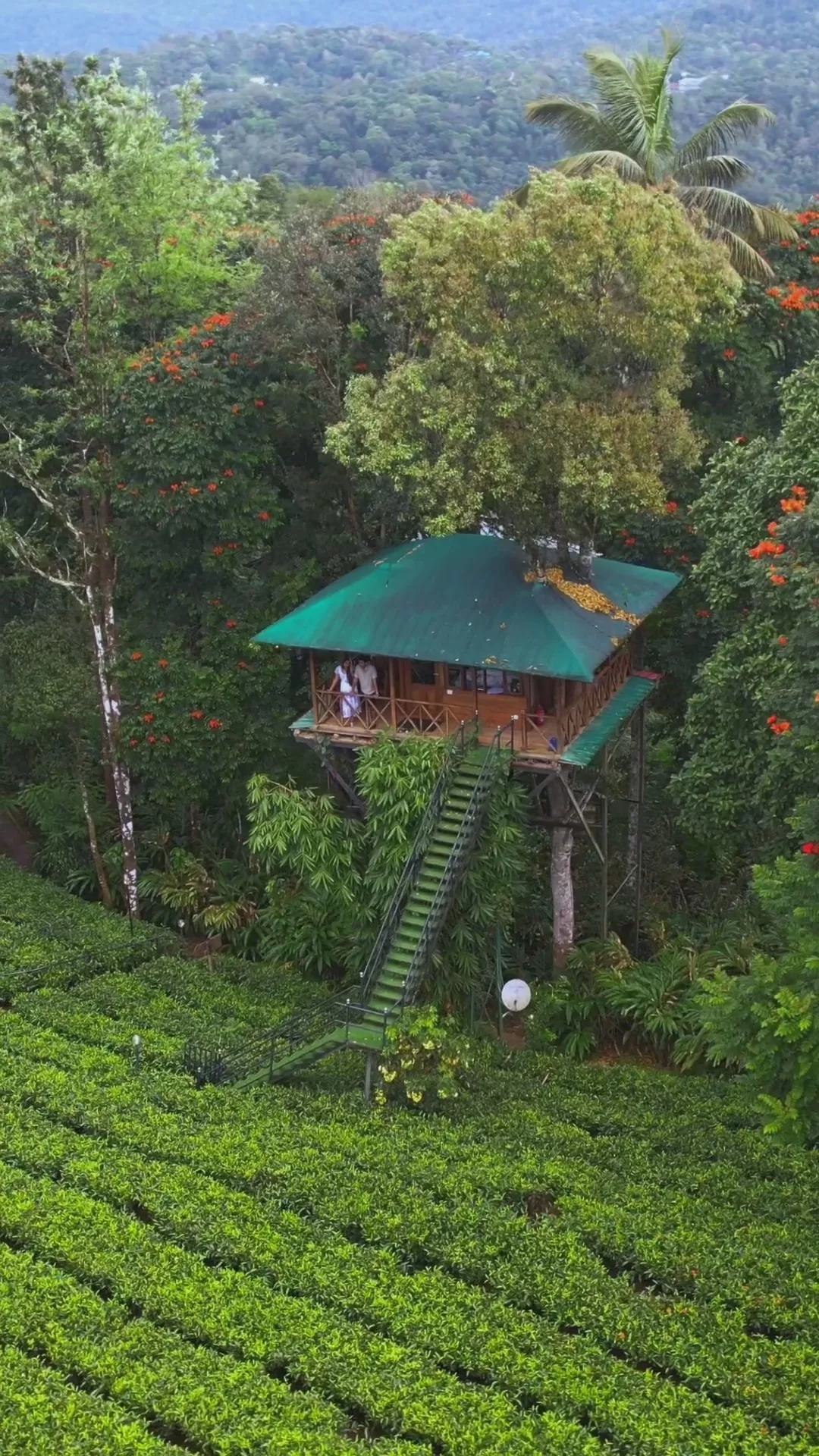 Tree House and Houseboat Package